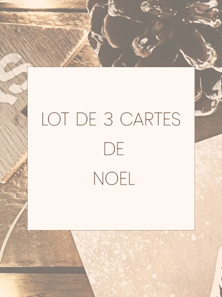 Lot de 3 cartes de Noël