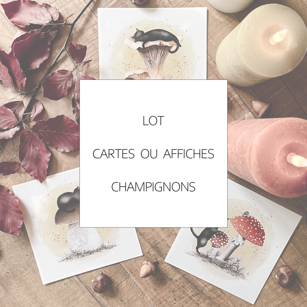 Illustrations champignons